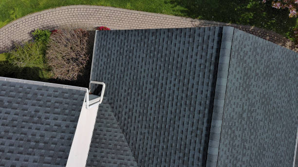 Best Roof Maintenance and Cleaning  in Hayti, MO